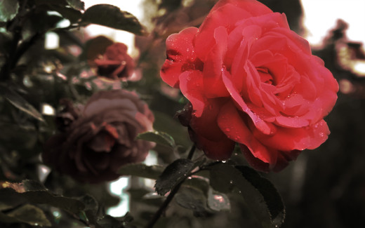 424041 (a): :2560x1600
